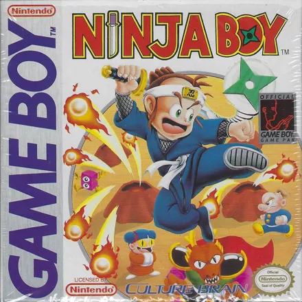 Ninja Boy